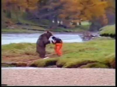 Un npc se agarra a madrazos con osos maduro