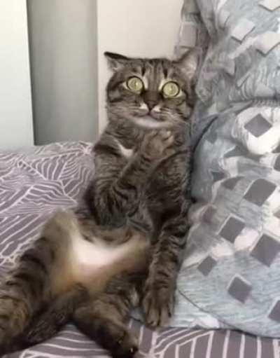 Видимо что-то случилось...