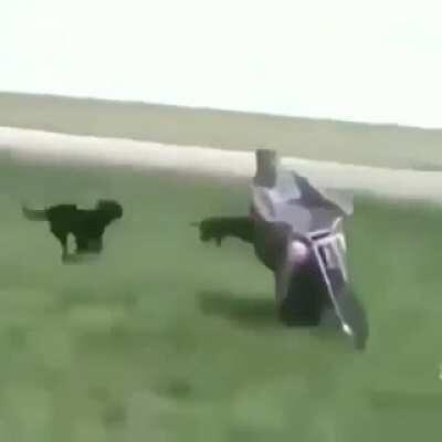 Agradecido con el de arriba🙏(admin triste)