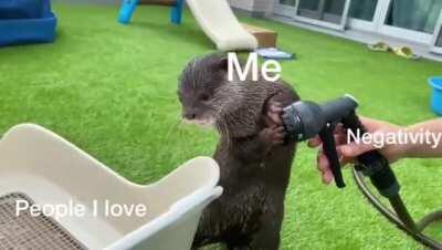 Made this smol meme thinking of my friends :)