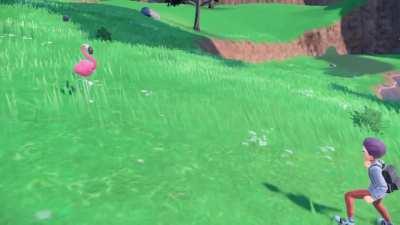 [Pokemon Scarlet] I think a rare pokemon just ran past mid battle