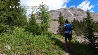 Little Arethusa - Kananaskis Report :) Thank you for watching!