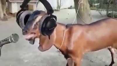 A música dos jovens de hoje em dia 😎