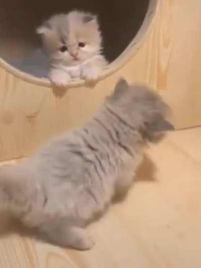 Perimeter protection system failed....