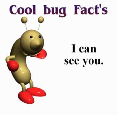 Thanks, I hate cool bug facts.