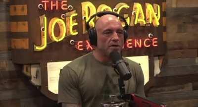 Joe says the media rigged the election