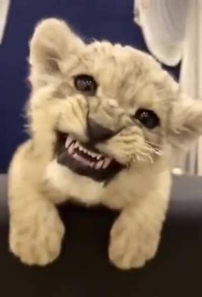 Вот вырасту и всем вам покажу, кто в доме хозяин