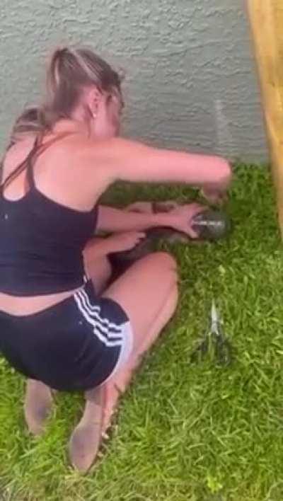 Backwards walking raccoon gets head put in contraption by two force wielding maniacs.