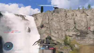 Halo infinite pelicans are strong