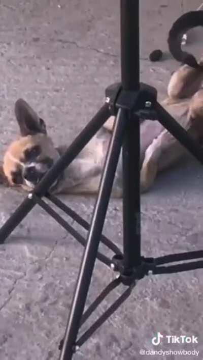 Llévame, contigo.... 🎶