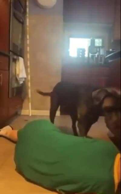 Dog saving his owner