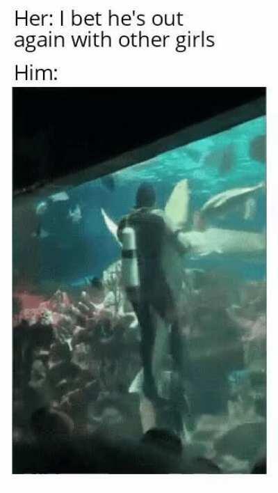 Is it cheating if it's with a shark?