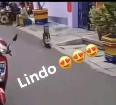 Mamaco morreu depois da promessa.