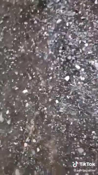 What is it Catherine?