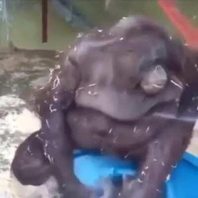 Só queria deixar salvo aq do quão triste e emocionante é esse video 😢😢