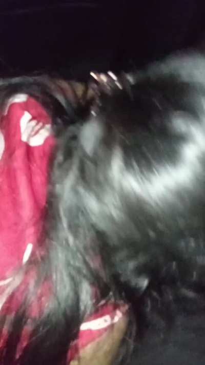 Bull Available for Real Meet