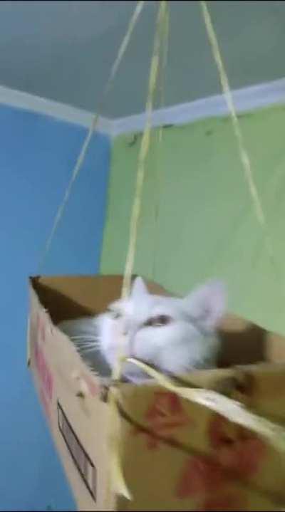 We're gonna need a stronger hook