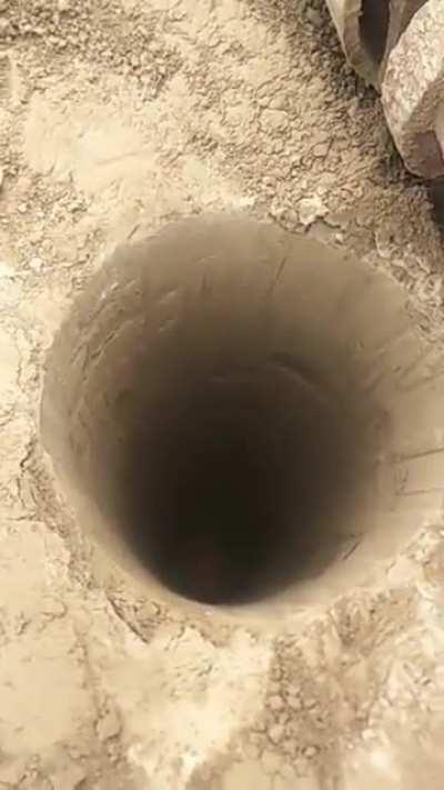 Тоннель в Нарнию.