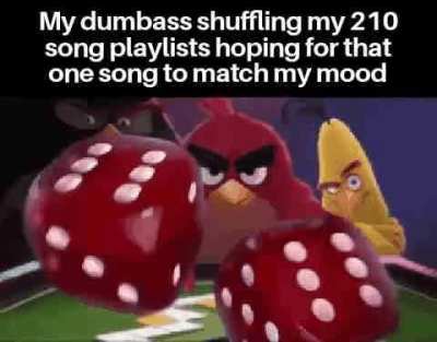 Losercity gambling 🎰