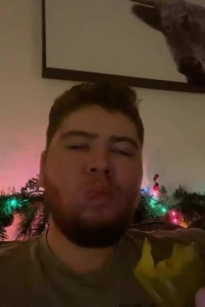 I ate a pickle while sitting on my couch