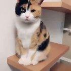 Someone is in a great mood