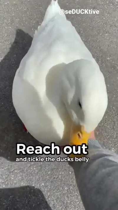 How to know when a duck gives consent