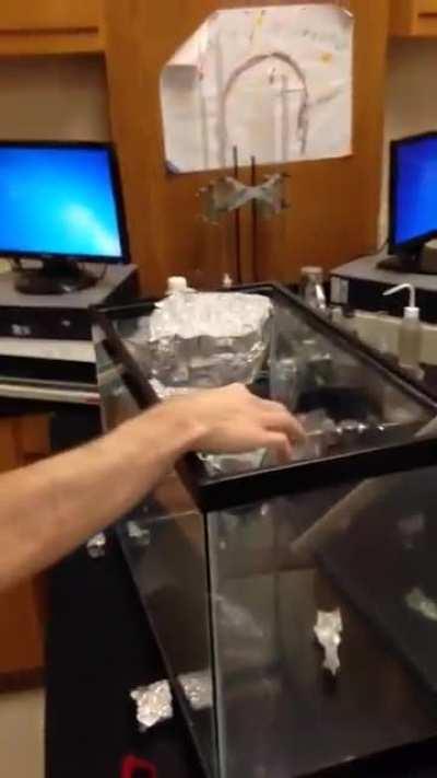 A densidade diferente dos gases faz isso...foda