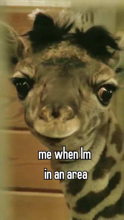 me when Im in an area