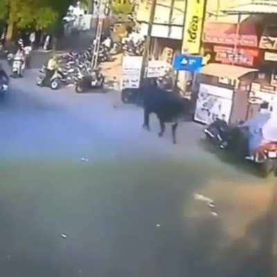 HMFT after my beautiful gainer