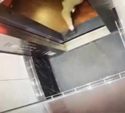 dont miss with grandpa