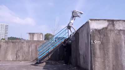 The mountains you hide in are not safe 