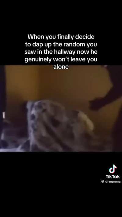 How many Skits Do they have 😭😭