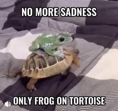 You’re w̆̈ĕ̈ă̈r̆̈ĭ̈n̆̈ğ̈ SOCKS. What’s there to be sad about