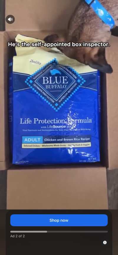 Bug going on for days now