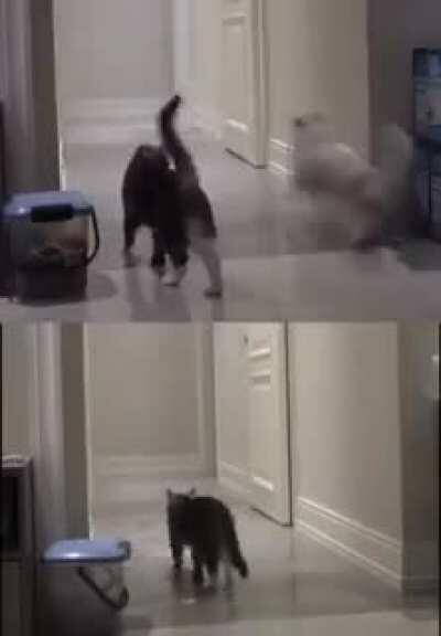 chega a dar um aperto no coração