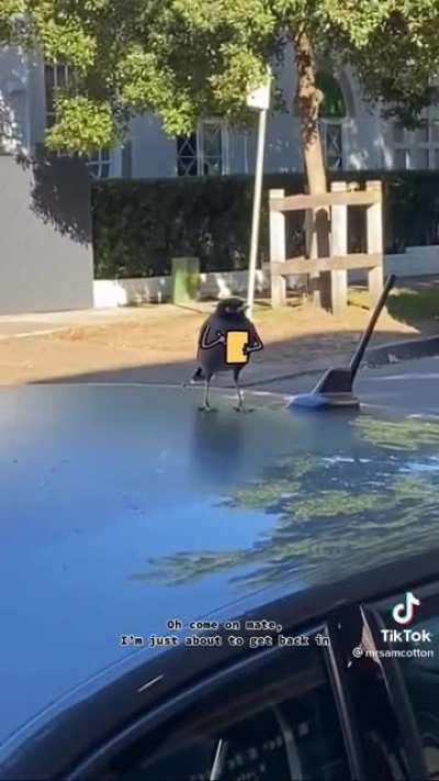 It's a hard job, but someone's got to do it