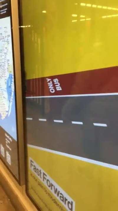 Based and bus-pilled