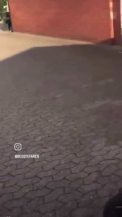 All three for the perfect trifecta (STUPID MUSIC ALERT ⚠️)