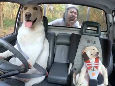 [HELP] am i going crazy? Nobody in the comments is saying its AI… Wtf is the swing at the end?