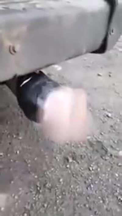 This Fleshlight on a muffler is the best thing I've seen all day
