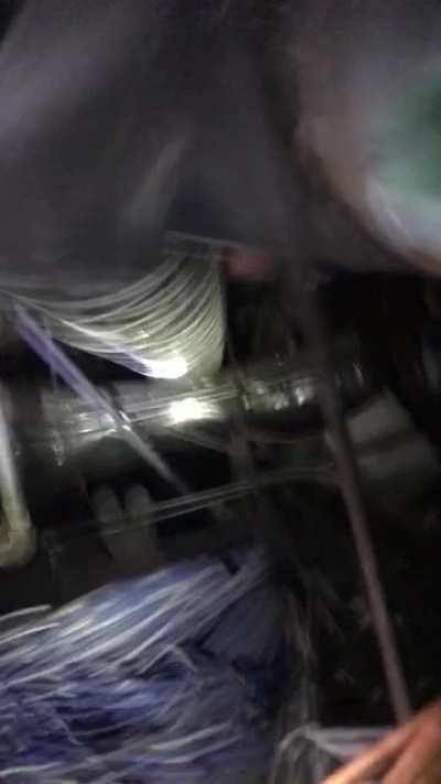 My Apprentice gettin it done.