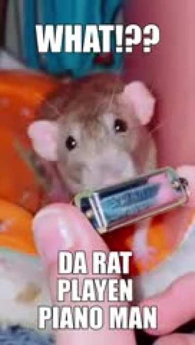 Sing me a song you’re the piano man