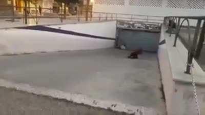 Next time try practicing on an even ground!!