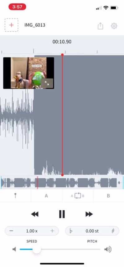 Donald Duck screaming edited with AudioStretch (headphone warning)