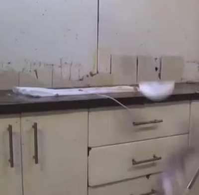 T..Mobile Your Survey Is..Enclosed