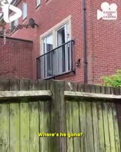 Is that spiderman? 😳😳