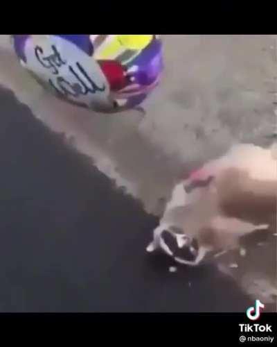 Nah dis is a violation