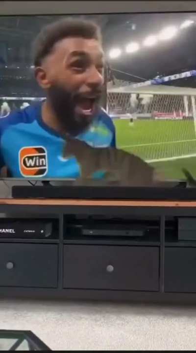 Casually watching soccer