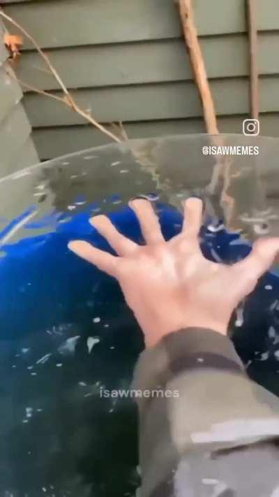 That ice break will be satisfying 