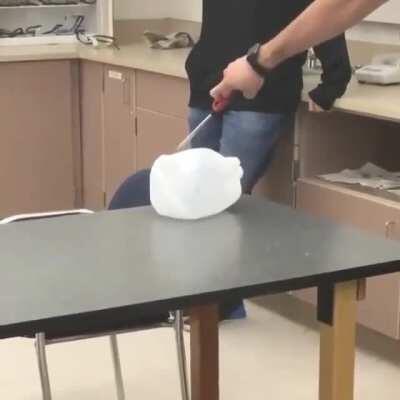 Would could go wrong?